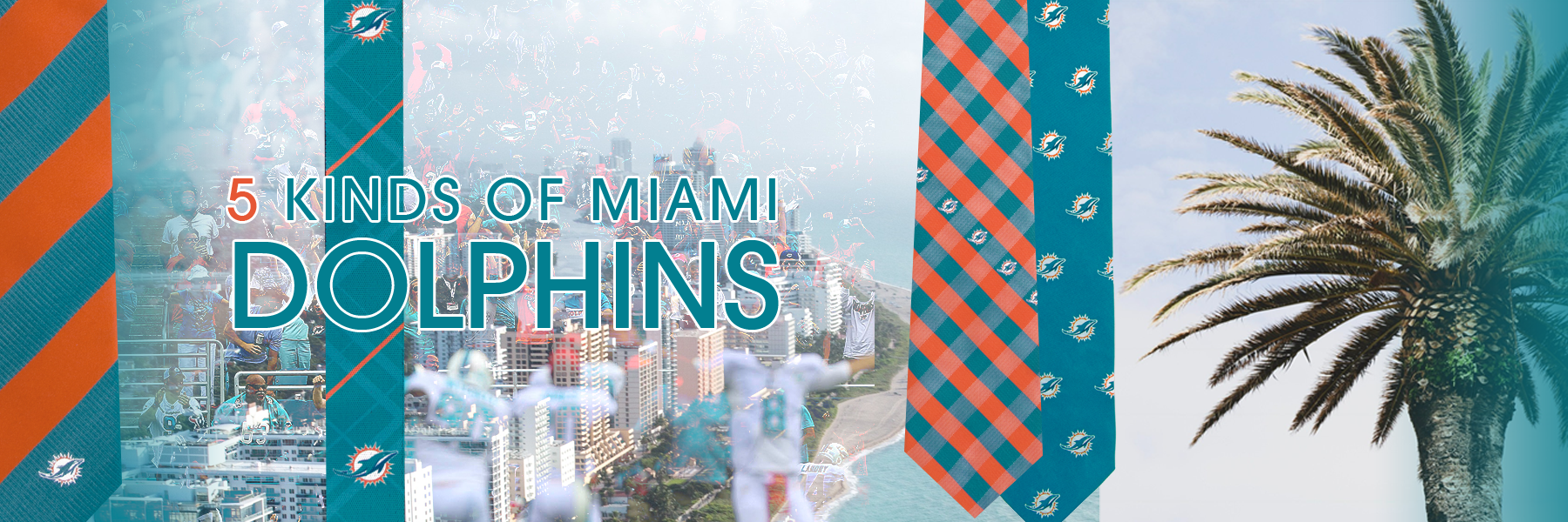 Five Reasons to Be a Miami Dolphins Fan