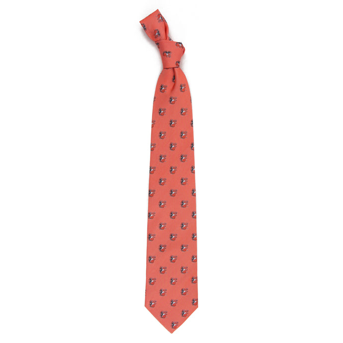 Baltimore Orioles Echo Necktie